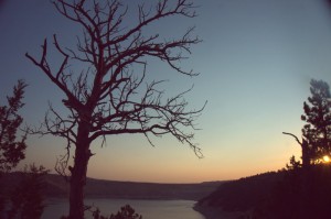 DSC06701