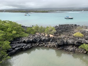 IMG_3533