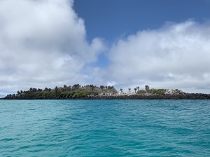 IMG_3701