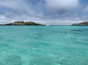IMG_3792