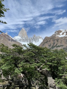 IMG_7735