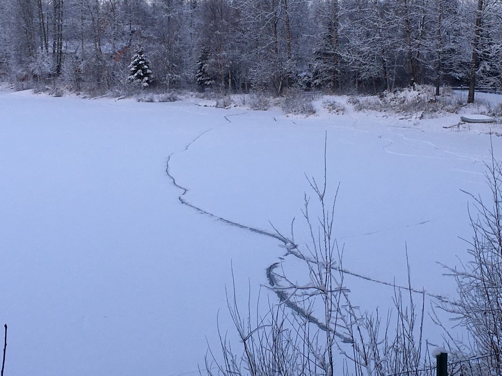 地震造成的冰裂（后院湖面）