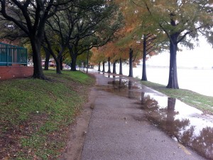20151127_111503