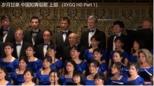 达尔文在2011年