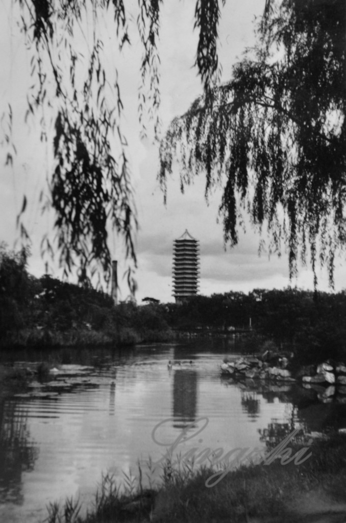 68-_DSC7119