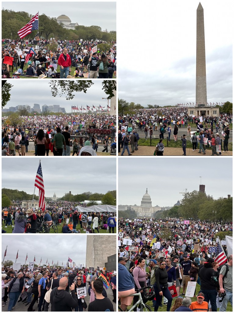 DC (13)