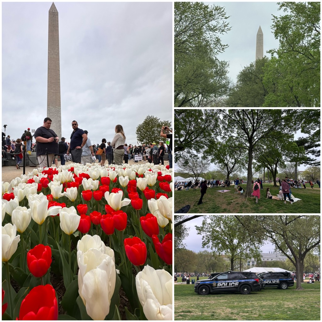 DC (15)