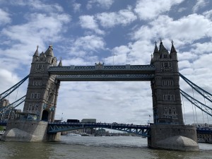 IMG_2225