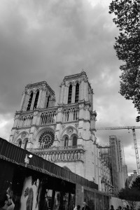 L1000952