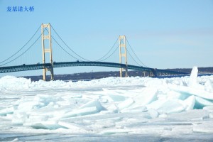Bridge_11