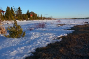 Landscap11