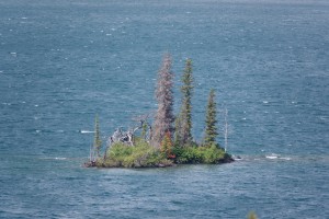 照片5:  野鹅岛