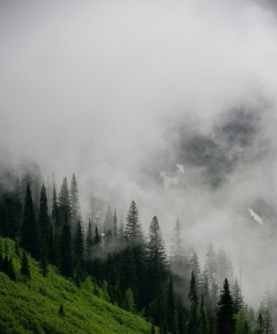 照片7:  去浮冰湖的山径 – 山谷