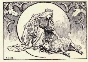 wonderful-sheep-6