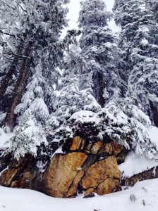 snow14