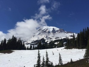 IMG_9626