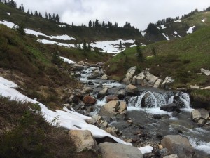IMG_9640