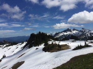 IMG_9641