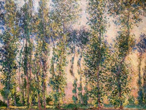 Monet5