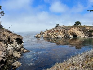 bigsur10