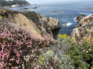 bigsur12