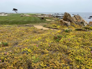 bigsur14