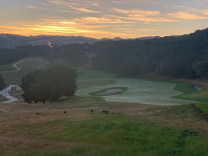 bigsur20