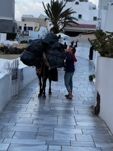 thira15
