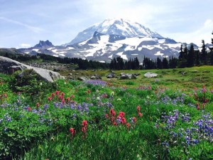 Rainier