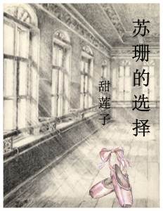 苏珊的选择封面small