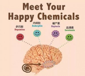 happy 分子
