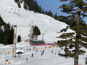 IMG_5909