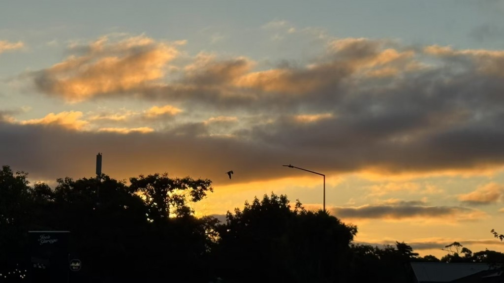 originalImage_1066425206_livephoto